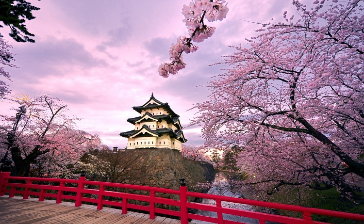 Nhật Bản đẹp như mơ trong mùa hoa anh đào