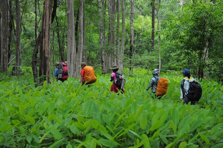 Đây là cung đường cho những bạn trẻ yêu thích trekking, cung đường này đi xuyên rừng qua ba tỉnh Lâm Đồng – Ninh Thuận – Bình Thuận