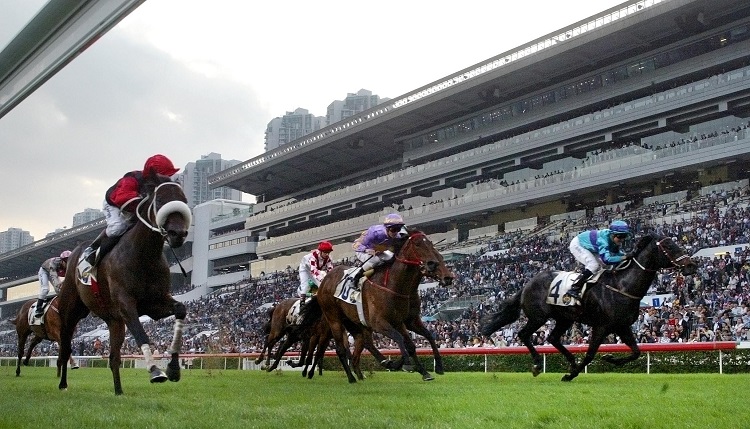 Các trường đua ngựa năm mới tại trường đua Sha Tin luôn thu hút du khách vì đua ngựa là một trong những sự kiện nổi bật nhất tại Hong Kong. Các cuộc đua diễn ra vào ngày thứ 3 của năm mới Âm lịch còn có nhiều màn trình diễn sống động và trò chuyện về thuật Phong Thủy.