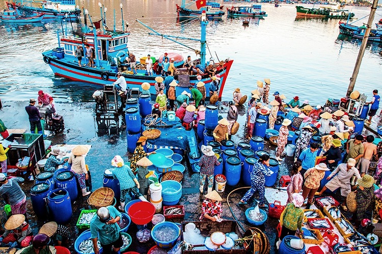 Hình ảnh tuyệt đẹp của Việt Nam - Nhộn nhịp trên một cảng cá khi thuyền về