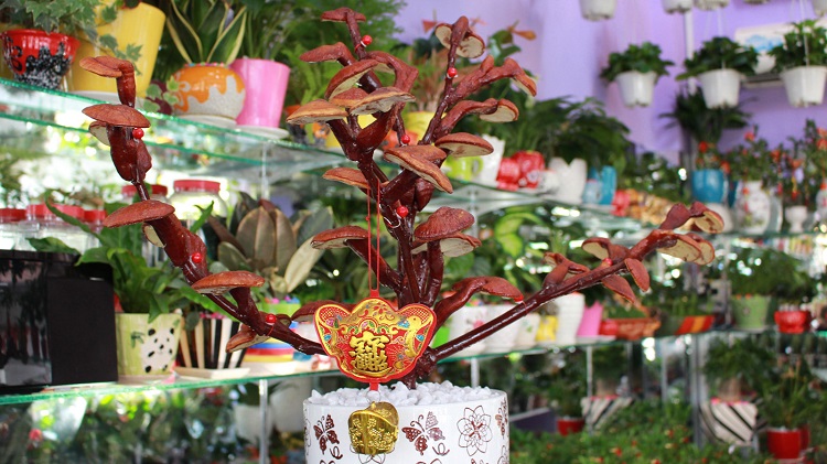Ngoài các loại cây, hoa truyền thống, chợ Hàng Lược năm nay cũng cập nhật những chậu cây cảnh mới độc đáo và có giá lên đến tiền triệu.