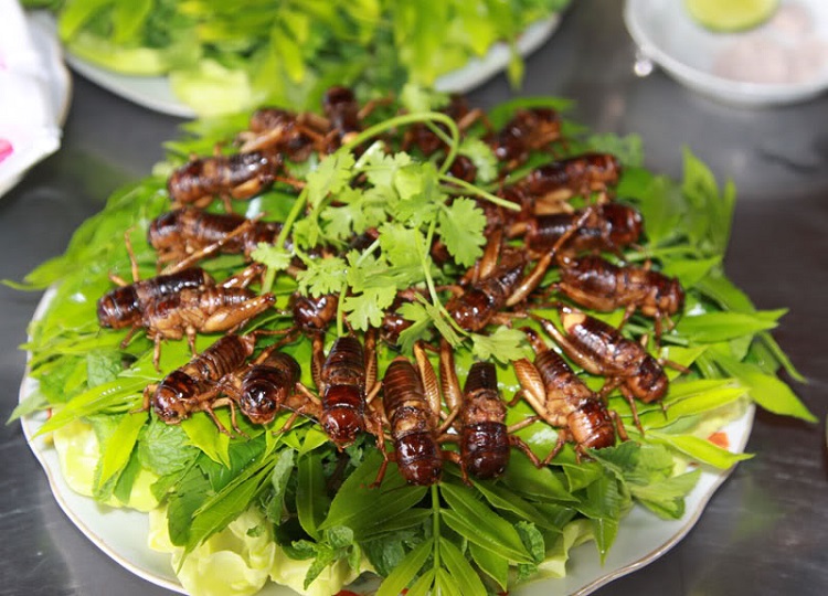 Ăn đặc sản côn trùng ở Lào – đặc sản Đông Nam Á