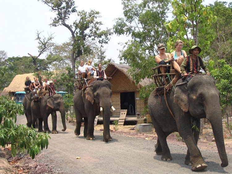 Cưỡi voi ở Đông Nam Á -  – trải nghiệm khó quên tại Đông Nam Á