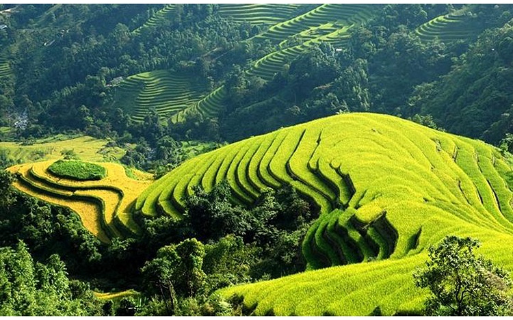 Chạy xe gắn máy vòng quanh Hà Giang là một trong những trải nghiệm mà Pete yêu thích nhất ở Việt Nam. Tỉnh Hà Giang nằm ở phía Bắc Việt Nam. Các con đường ở đây quanh co uốn khúc quanh các núi đá vôi, qua các thung lũng với ruộng bậc thang và dẫn vào thị trấn. Chuyến hành trình có thể mất 3 đến 5 ngày tùy thuộc vào cung đường bạn lựa chọn.