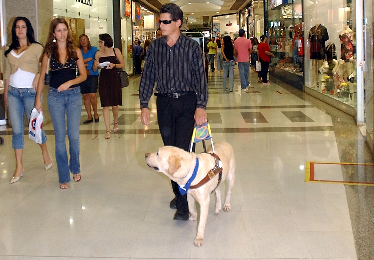 Hành khách hạn chế khả năng di chuyển sẽ được MIỄN PHÍ dịch vụ hỗ trợ di chuyển, vận chuyển xe lăn cá nhân, hay vận chuyển chó dẫn đường trên mọi chuyến bay nội địa/quốc tế của Vietnam Airlines.