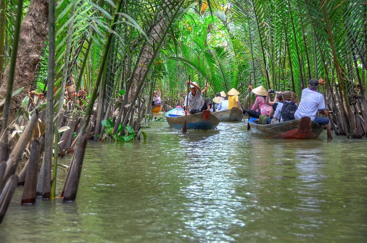 Chèo xuồng giữa hai hàng dừa nước tại khu du lịch Cồn Phụng