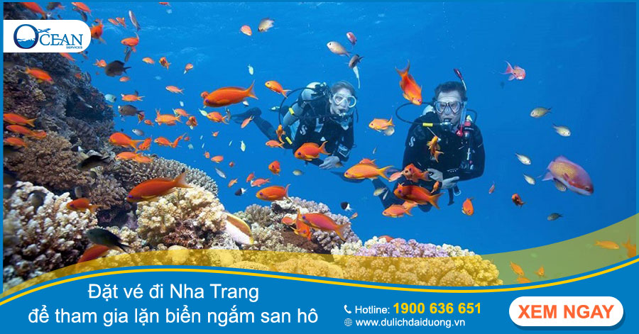 Đặt vé đi Nha Trang để tham gia lặn biển ngắm san hô