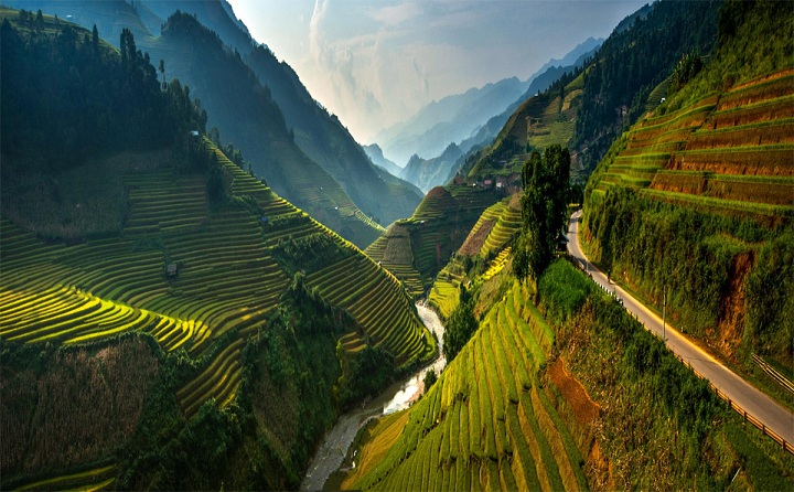 đặt vé máy bay nội địa giá rẻ