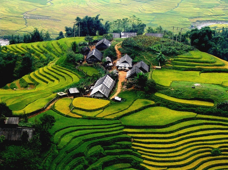 Ruộng bậc thang ở Sapa