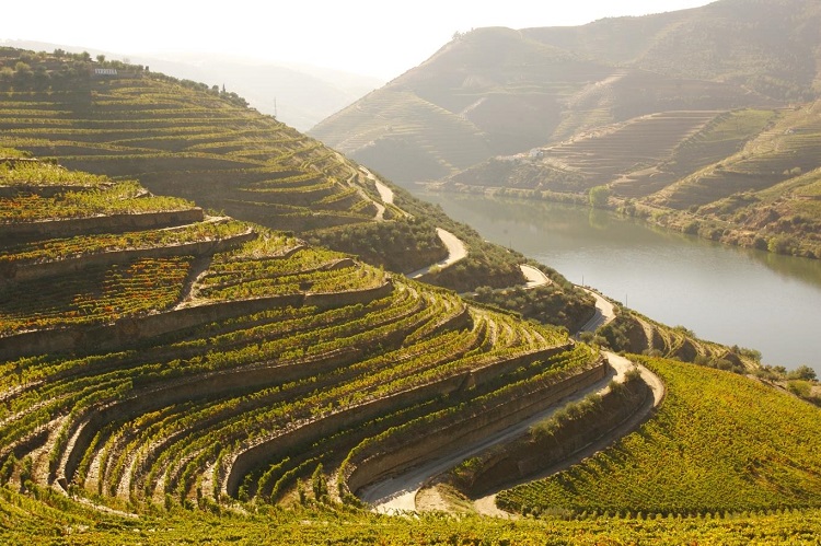 Thung lũng Douro - Bồ Đào Nha