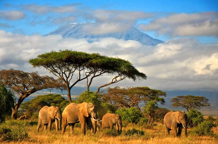 Du lịch Tanzania