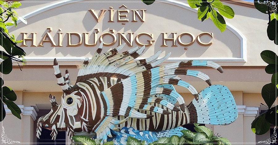 địa điểm vui chơi nên đến tại Nha Trang