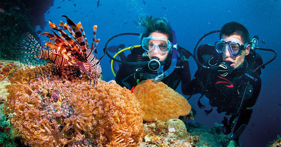 Lặn biển ngắm san hô - hoạt động không thể bỏ qua khi du lịch Phú Quốc