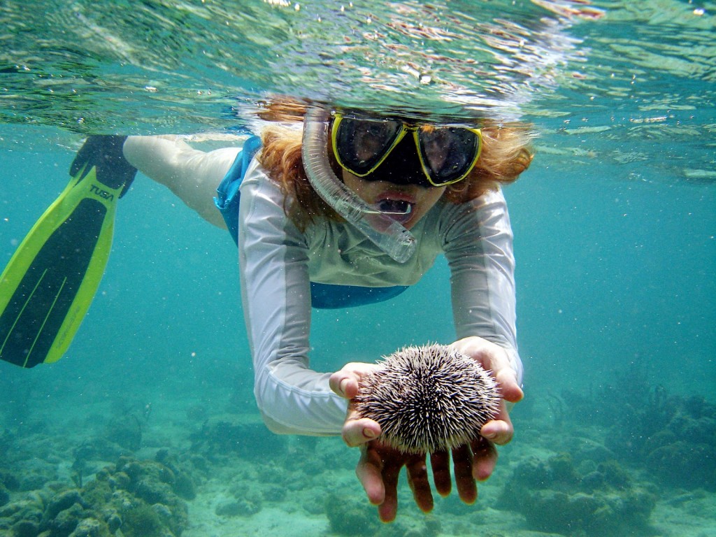 Du lịch Thái Lan - lặn biển ngắm san hô tại đảo Koh Phi Phi