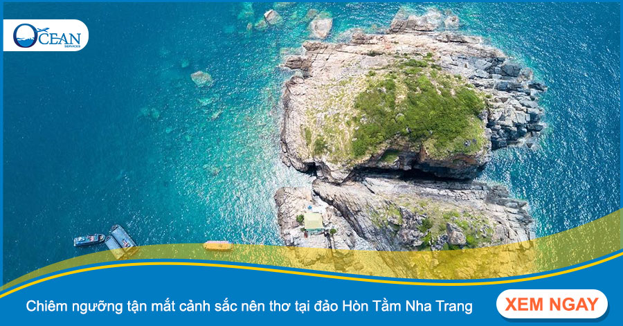 Chiêm ngưỡng tận mắt cảnh sắc nên thơ tại đảo Hòn Tằm Nha Trang