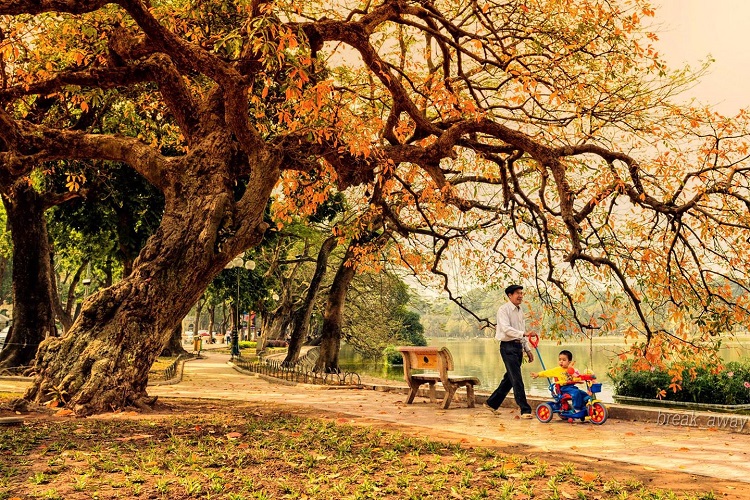 ha noi