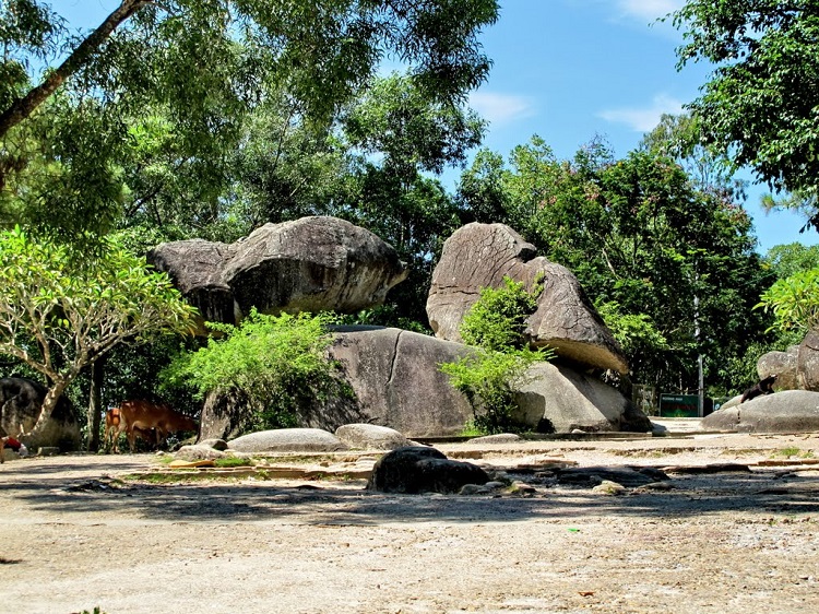 hon trong mai