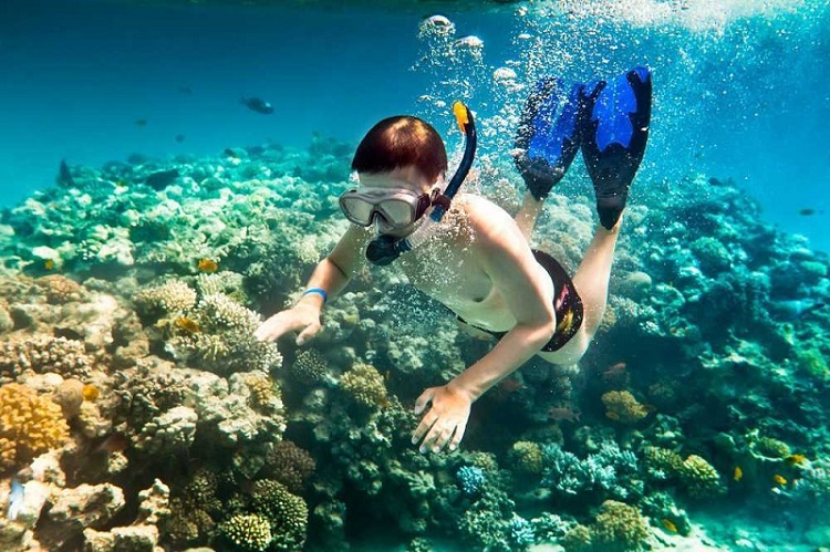 Lặn ngắm san hô ở Hòn Khô, Quy Nhơn