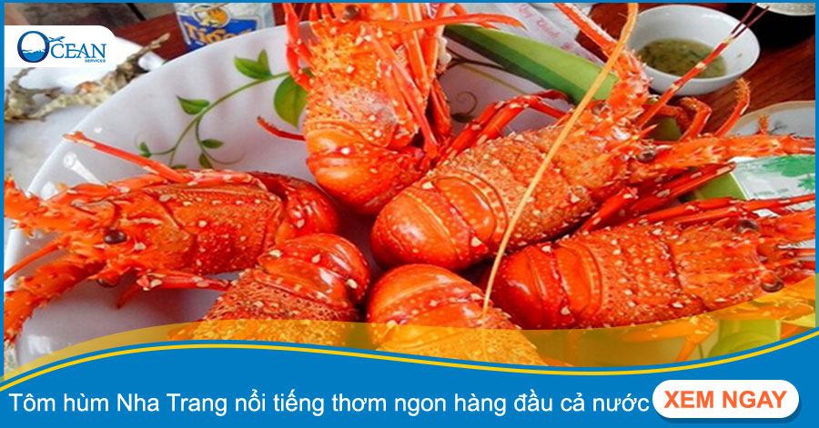 Tôm hùm Nha Trang nổi tiếng thơm ngon hàng đầu cả nước