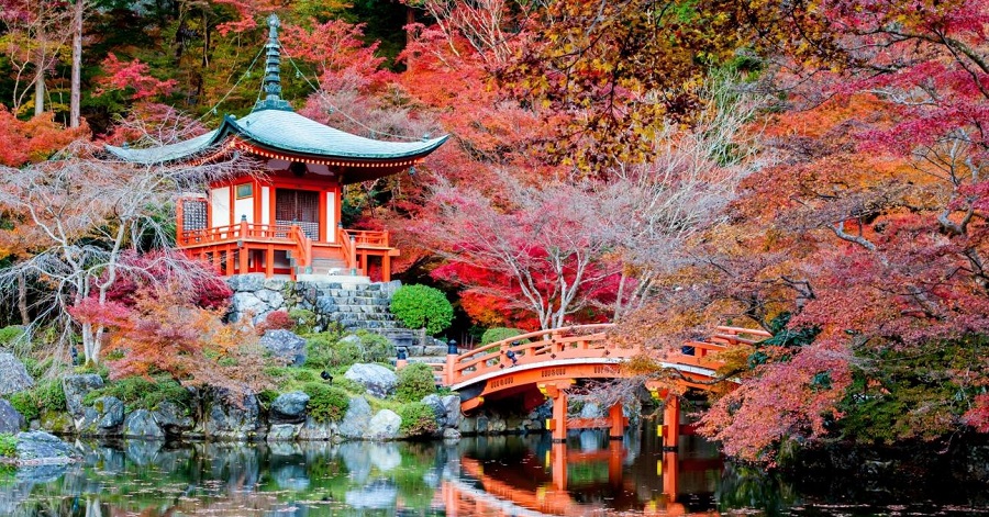 Cảnh sắc tuyệt vời của mùa thu Nhật Bản