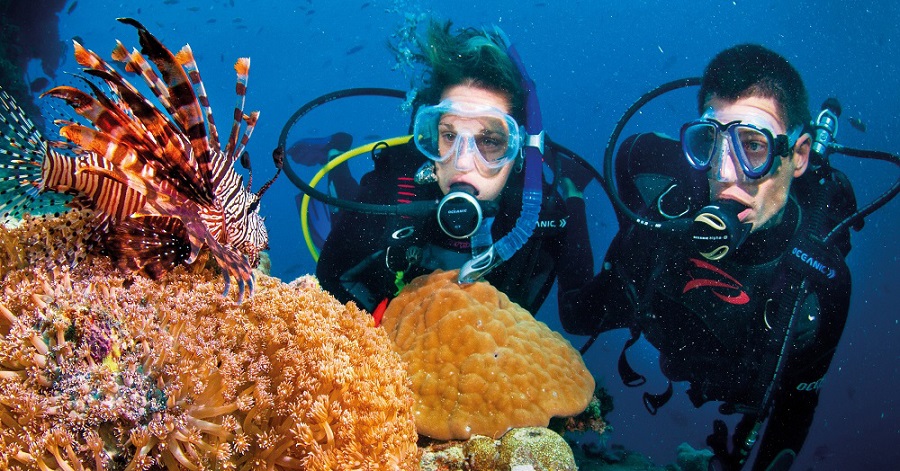 Lặn ngắm san hô ở Đà Nẵng là một trải nghiệm vô cùng thú vị