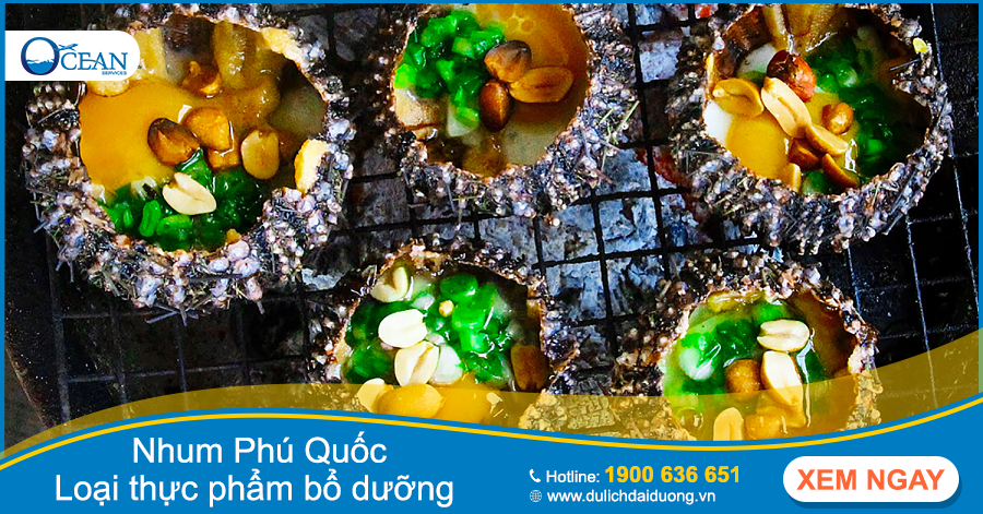 Nhum Phú Quốc là một món ăn vô cùng lạ miệng và bổ dưỡng
