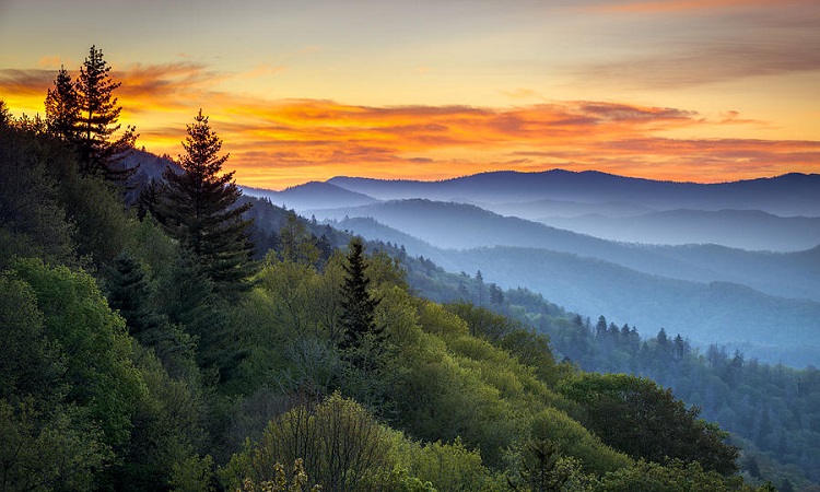 Công viên quốc gia Great Smoky Mountain