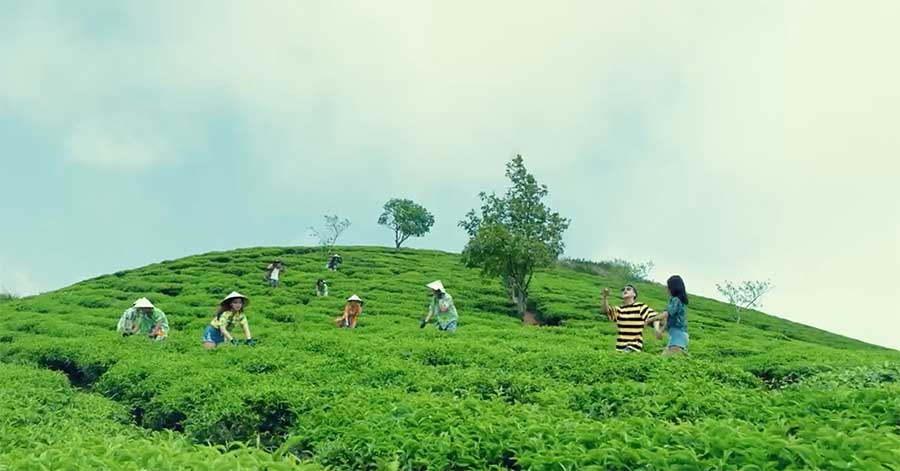 Cầu Đất Farm - xuất hiện trong MV ca nhạc của Sơn Tùng