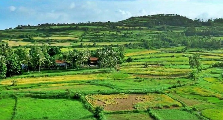 phu yen