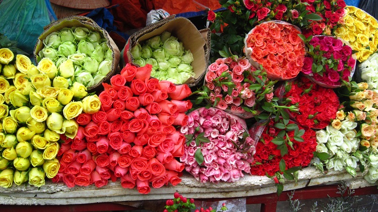Chợ hoa đêm Quảng Bá, Hà Nội