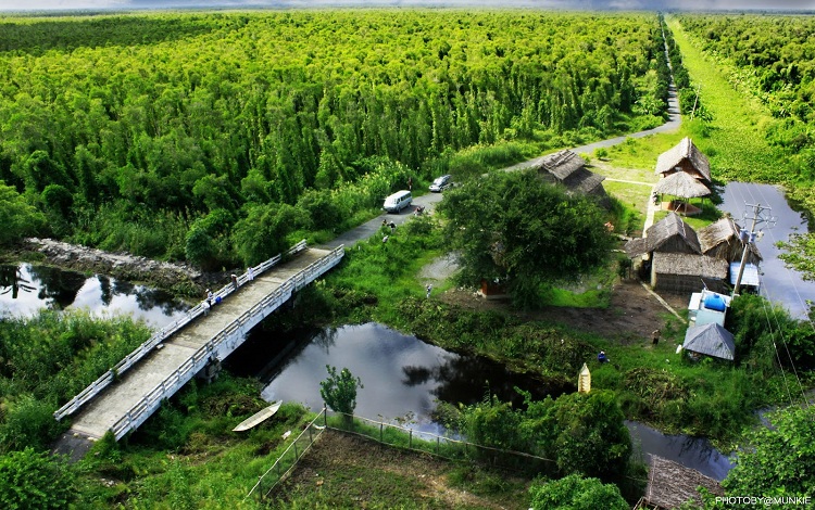 rừng u minh hạ cà mau