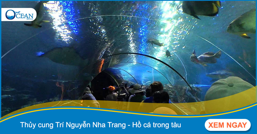 Thủy cung Trí Nguyễn Nha Trang - Hồ cá trong tàu