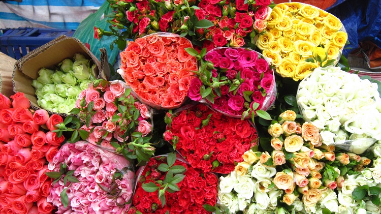Chợ hoa Quảng Bá