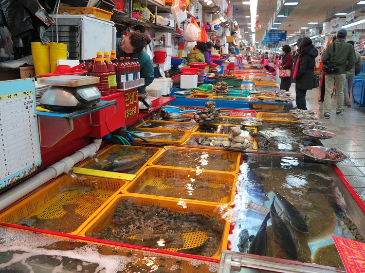 Chợ hải sản lớn nhất Hàn Quốc tại Busan