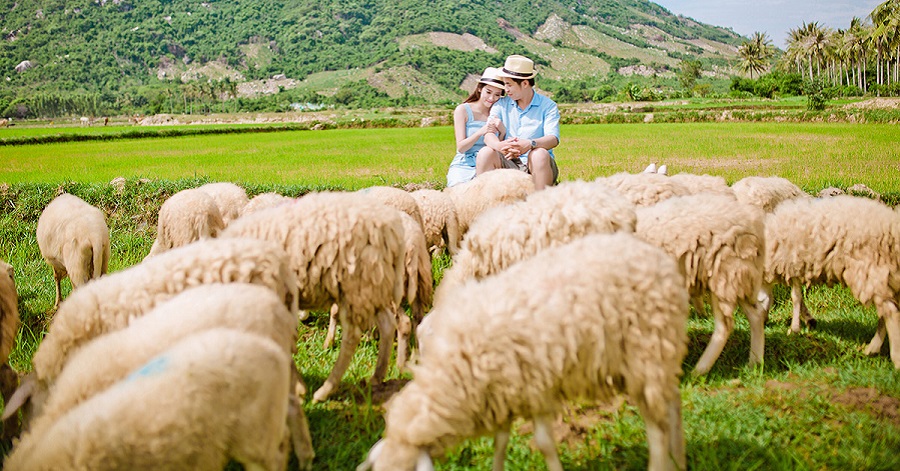 vé máy bay vinh nha trang