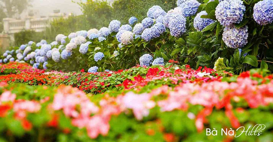 Vườn hoa Le Jardin D'Amour chắc chắn sẽ giúp bức ảnh của bạn thêm nhiều màu sắc