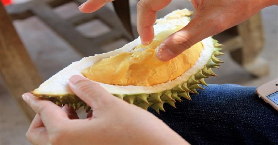 vườn sầu riêng ăn tại chỗ gần Sài Gòn
