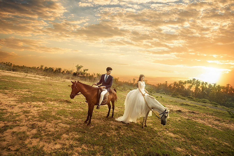 Chụp ảnh cưới tại đồng cừu Suối Nghệ