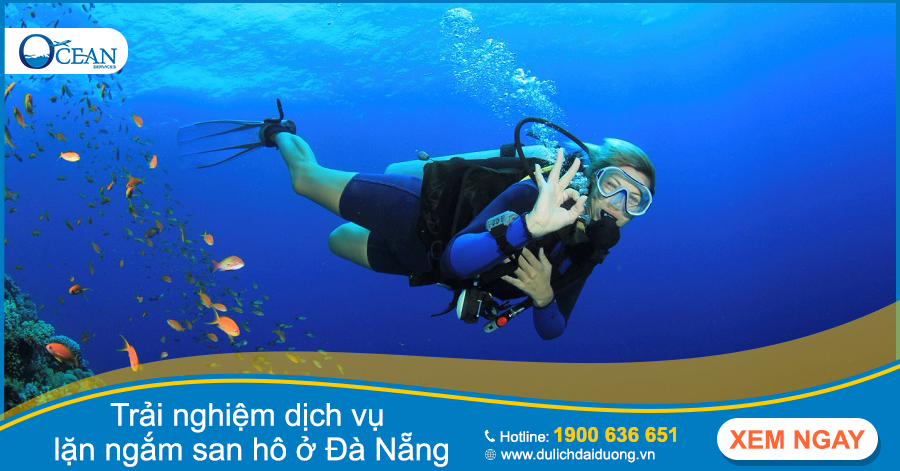 Trải nghiệm dịch vụ lặn ngắm san hô ở Đà Nẵng